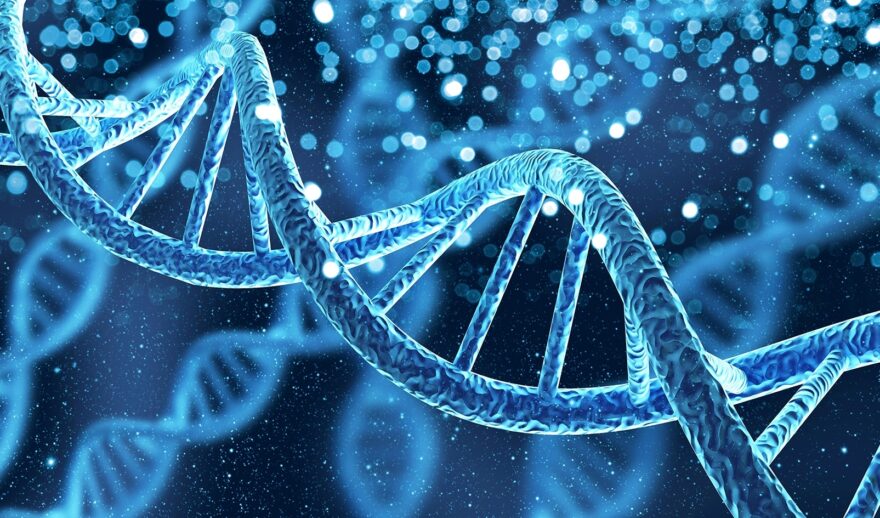 Galaxy australia dna helix