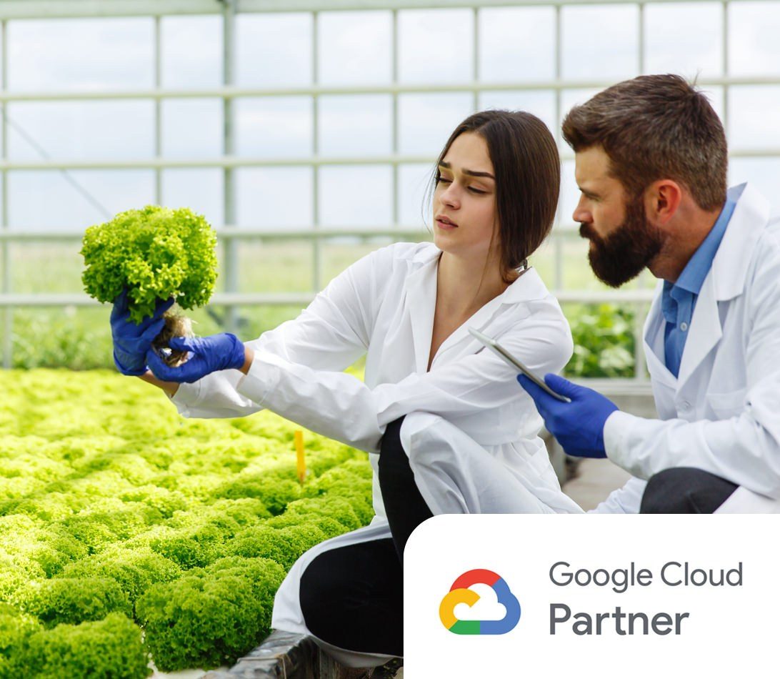 Google Cloud partner - cloud services researchers holding plants tablet device network